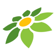 CARI TAIPAN303